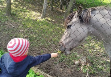 Powiększ obraz: 