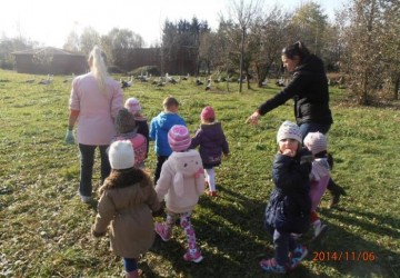 Powiększ obraz: 